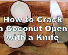 Coconut cracking